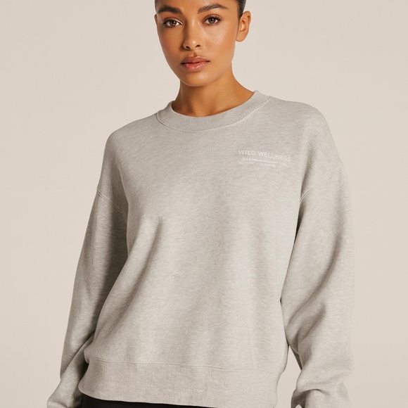 WILO Wellness Gray Sweatshirt - size Small - Picture 1 of 6